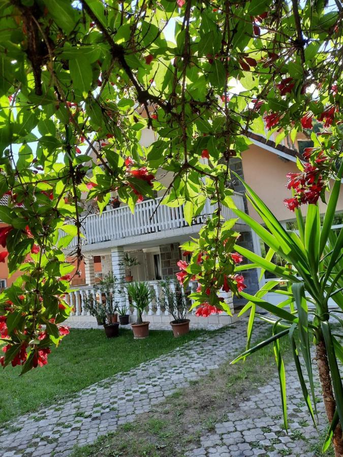 Ibis Sovata Exterior foto
